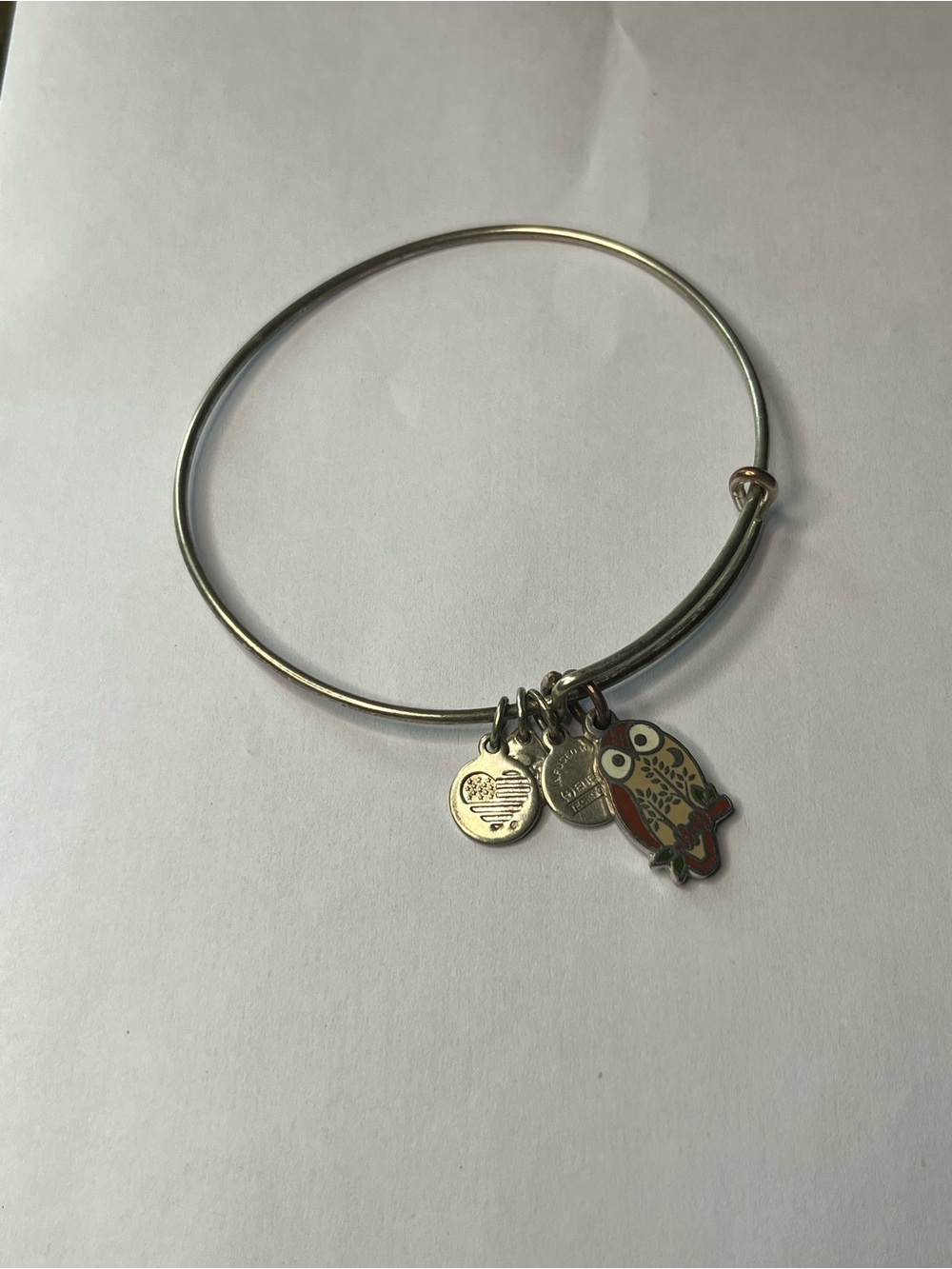Alex and Ali Silver Owl Charm Bangle Bracelet - Women Jewelry